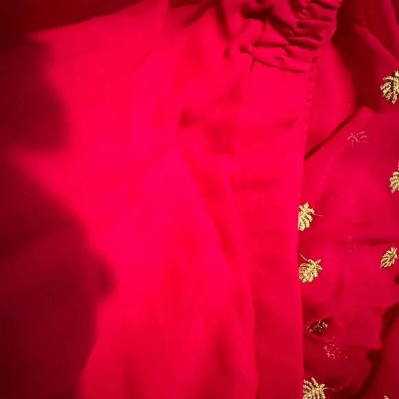 Custom Made in India Sari - Picture 4 of 13